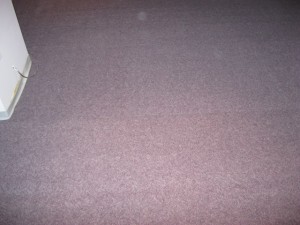 Commercial Carpet Repair  - After