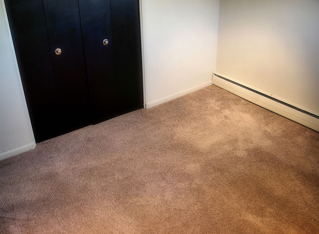 3 Tips for Selecting the Right Carpet for Your Space