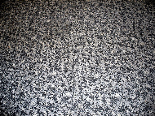 3 Things to Consider When Checking Carpet Quality