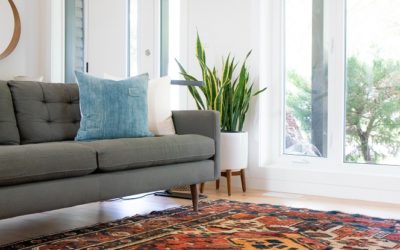 3 Reasons Why You Should Get an Area Rug