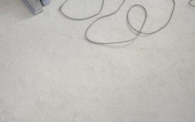 Watch Out for These Signs of Carpet Mold