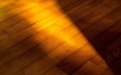 Which One Is Best for You: Solid or Engineered Hardwood Flooring?