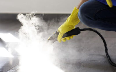 Is Steam Cleaning Effective for Your Carpet?