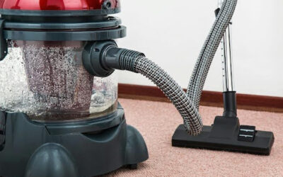 Reasons To Hire a Professional Carpet Cleaner