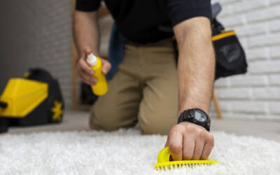 How To Protect Your Carpet from Stubborn Stains