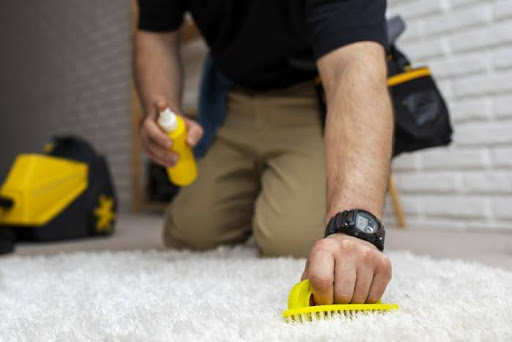How To Protect Your Carpet from Stubborn Stains