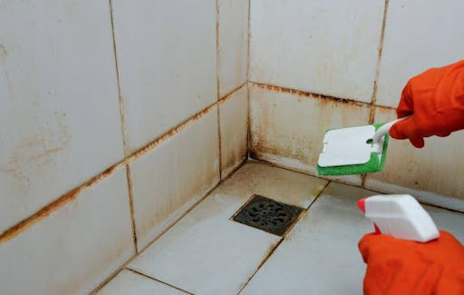 How To Prevent Mold Growth on Your Bathroom Tile and Grout