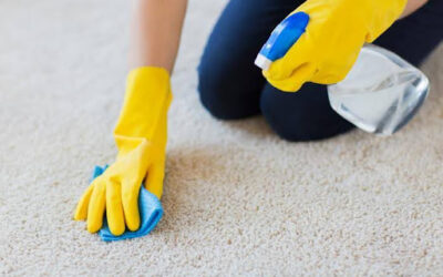 How To Deodorize Your Carpet Naturally