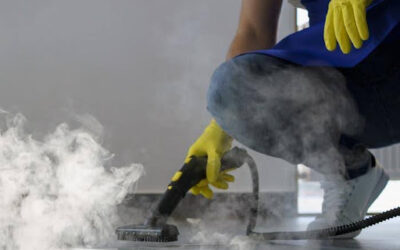 Why Steam Cleaning for Your Carpets Is a Must
