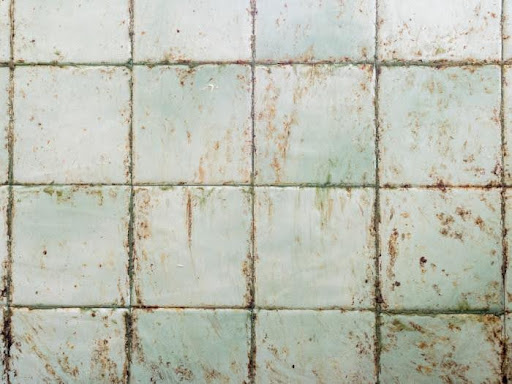 How To Clean a Moldy Grout