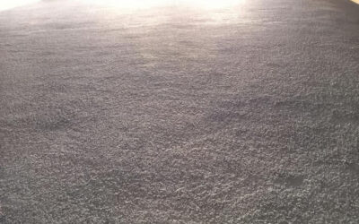 What is Carpet Stretching and Why It’s So Important