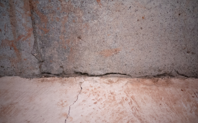 Best Flooring for Basements: Moisture-Resistant Options That Last