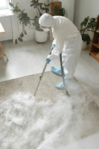 Shampooing Your Carpets