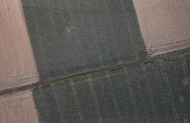 What Are the Causes of Carpet Wrinkles?