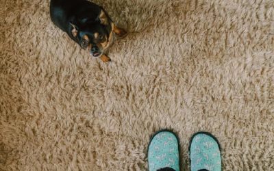 How To Make Your Carpets Fluffy Again