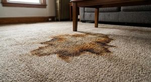 A Guide to Carpet Discoloration